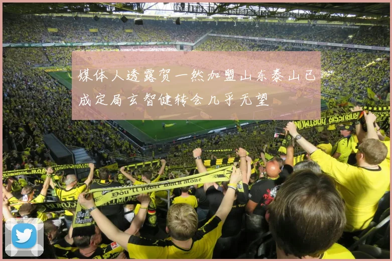 媒体人透露贺一然加盟山东泰山已成定局玄智健转会几乎无望