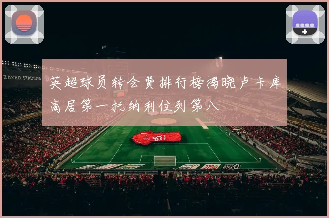 英超球员转会费排行榜揭晓卢卡库高居第一托纳利位列第八